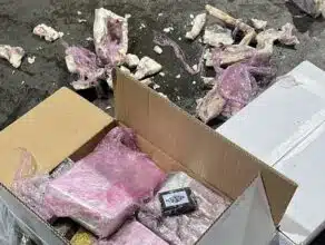 Saisie de plus de 3 tonnes de résine de cannabis au port de Tanger Med