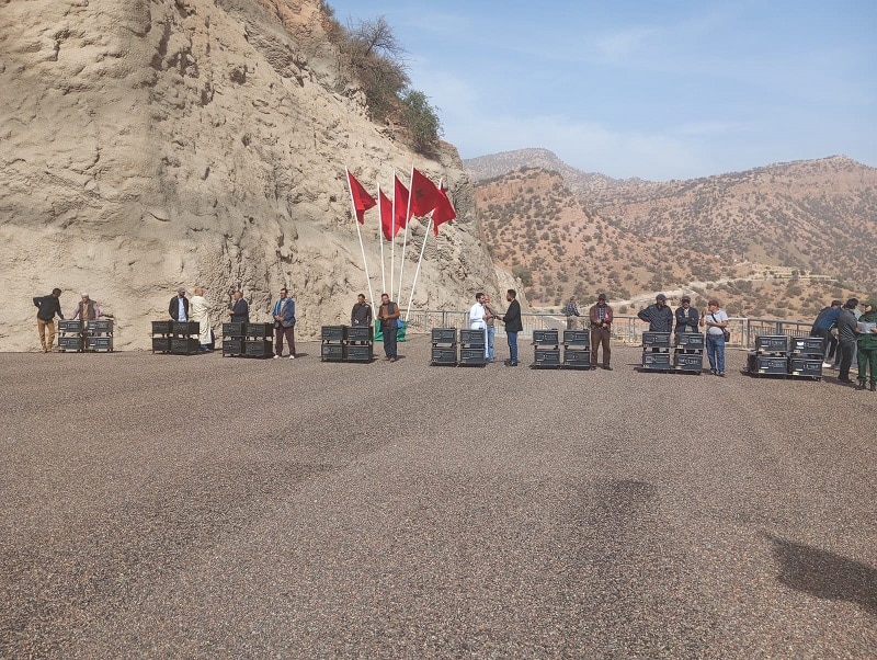 2,7 MMDH pour la réhabilitation des forêts et l’aménagement des bassins versants dans les zones touchées par le séisme d’Al Haouz
