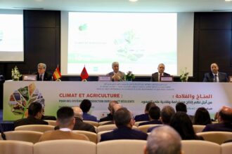 Le SIAM 2024 sous le signe de la durabilité et de la résilience