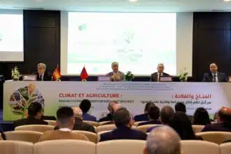 Le SIAM 2024 sous le signe de la durabilité et de la résilience