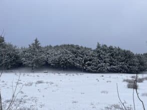 Voici les hauteurs de neige relevées ce mardi 27 février