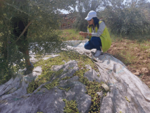 Olivier : les bonnes performances des plateformes de démonstration du programme Al Moutmir