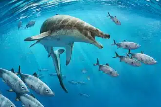 Découverte au Maroc d’un fossile de lézard marin &ldquo;cauchemardesque&rdquo; de l’âge des dinosaures