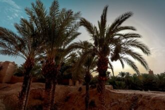 Démissions, commission ad hoc et élections partielles attendues : que se passe-t-il à Figuig ?