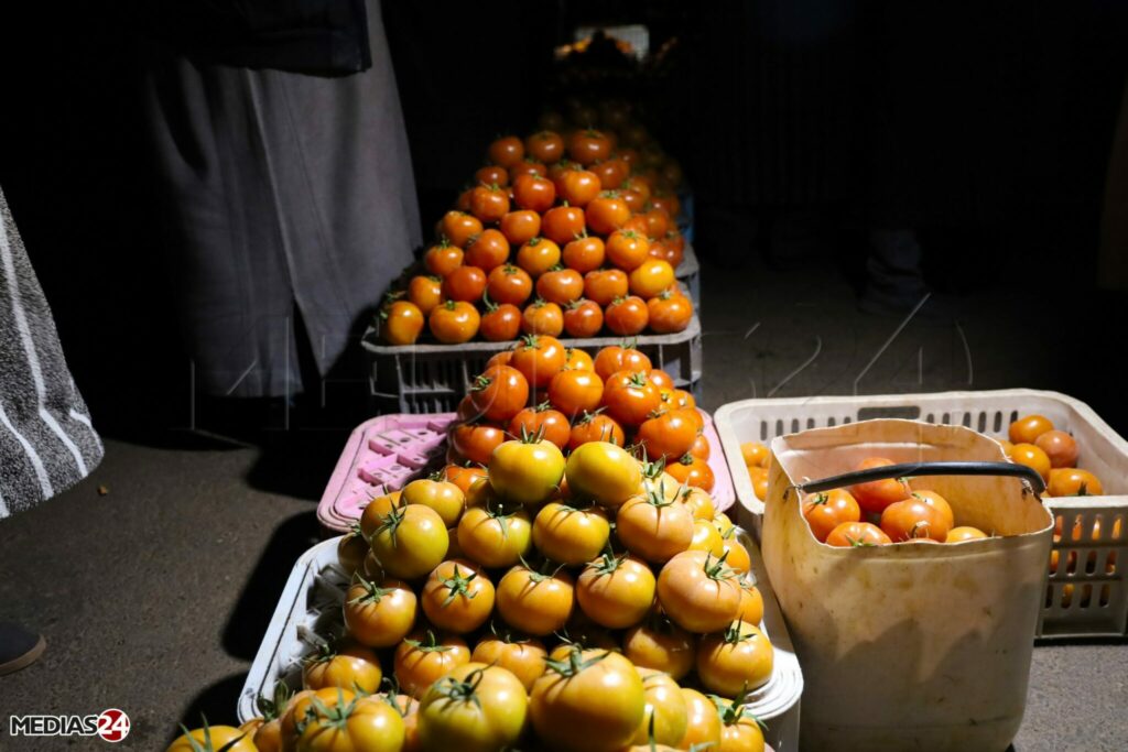 Prix de gros à Casablanca, début Ramadan : hausse de la viande ovine, évolution modérée des fruits et légumes