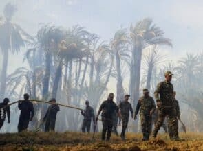 Un incendie ravage environ 900 palmiers dans l’oasis &ldquo;Ouled Chaker&rdquo; à Errachidia