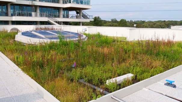 Eau non conventionnelle : nouvelles solutions technologiques pour la réutilisation des eaux grises