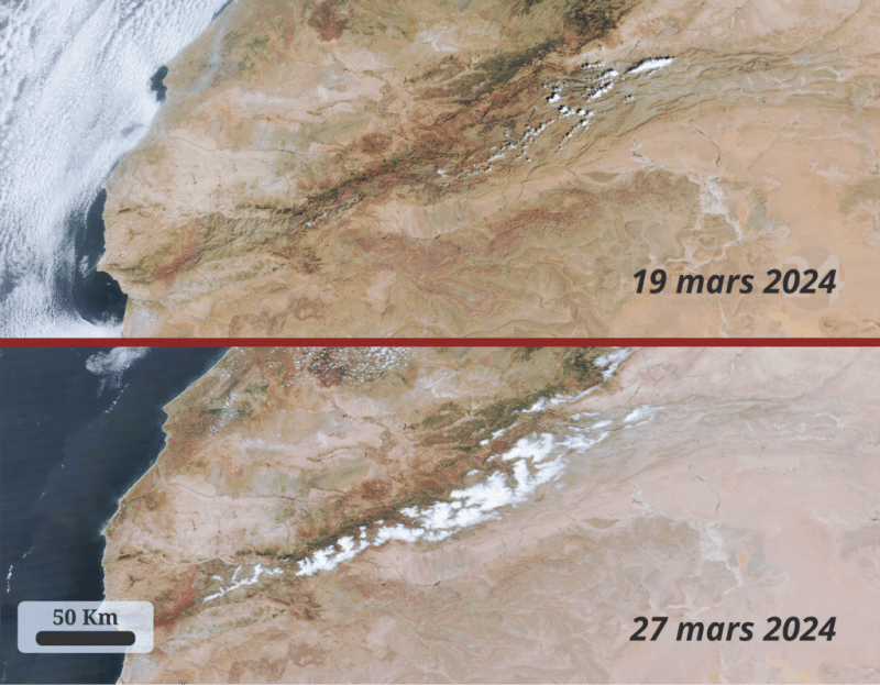 Image satellite d'enneigement