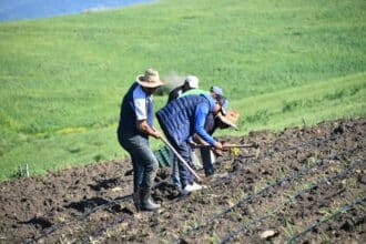 À Ouezzane, Sadiki lance des projets de développement agricole et rural pour près de 200 MDH