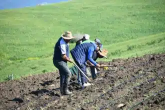 Fès-Meknès : lancement de la 2e édition du Green Open Challenge