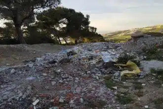 Les forêts de Tanger menacées par l’invasion des déchets de construction