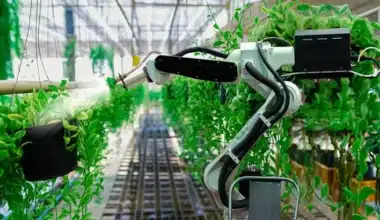 SIAM. Comment le ministère de l'Agriculture va encourager la digitalisation et l'entrepreneuriat