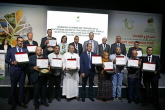 SIAM. 12 huiles d’olive primées lors du 14e concours national