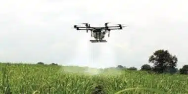 4e édition des Agro IT Days : l'IA au service d'une agriculture durable et résiliente