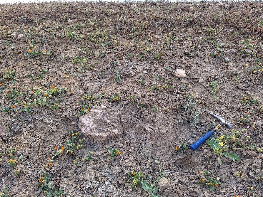 Mise en évidence de volcans de boue liés à des hydrates de gaz à Ain Kansra dans la province de Moulay Yaâcoub