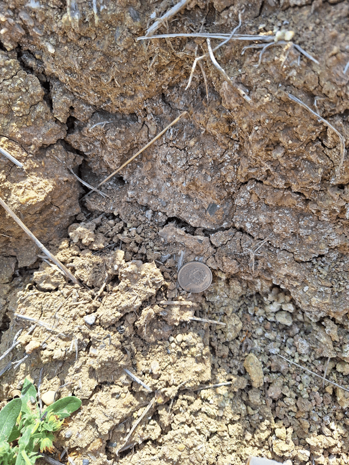 Mise en évidence de volcans de boue liés à des hydrates de gaz à Ain Kansra dans la province de Moulay Yaâcoub