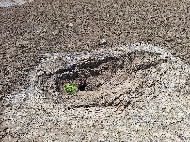 Mise en évidence de volcans de boue liés à des hydrates de gaz à Ain Kansra dans la province de Moulay Yaâcoub