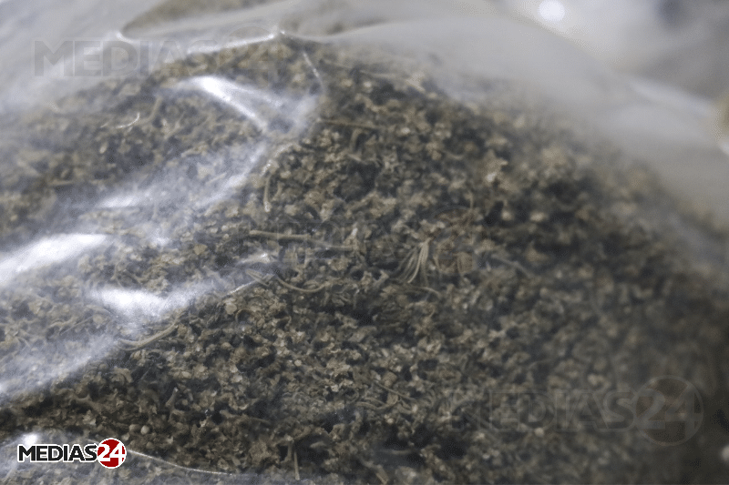 Reportage. Au cœur de Biocannat, l’usine de transformation de cannabis légal Reportage. Au cœur de Biocannat, l’usine de transformation de cannabis légal