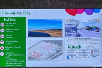 Driscoll’s Maroc lance la construction d’une station de conditionnement des fruits rouges à Larache