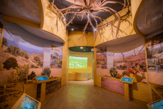 La SAPST célèbre la Journée mondiale de l'arganier