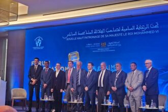 Batterie électrique : au Maroc, des indices de lithium et de nickel en cours d’étude