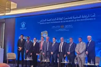 Batterie électrique : au Maroc, des indices de lithium et de nickel en cours d’étude