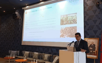 ANRAC : &ldquo;Aucune importation de cannabis ou de produits de cannabis n’a à ce jour été autorisée&rdquo; (El Guerrouj)