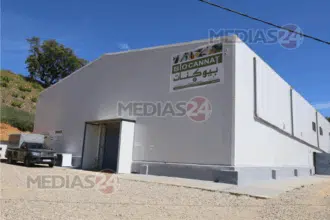 Reportage. Au cœur de Biocannat, l’usine de transformation de cannabis légal