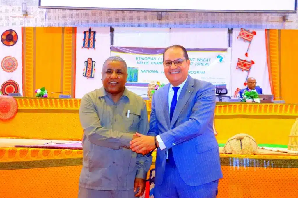 En Éthiopie, OCP Africa contribue à l'initiative &ldquo;blé résilient pour le climat&rdquo;