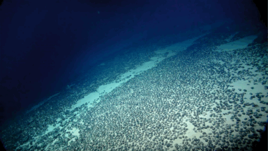 Métaux stratégiques. Quelles sont les richesses minérales du mont Tropic ?