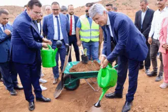 Lancement de nouveaux projets de développement agricole et rural à Al Hoceima