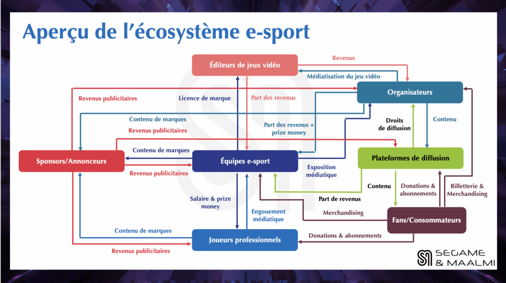 Entretien. Le e-sport a besoin d’un cadre juridique autonome, souple et adapté (Me Iliass Segame)
