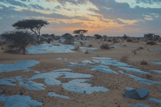 Laghchiwat. Exploration d’un site historique méconnu aux confins du désert