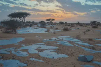 Laghchiwat. Exploration d’un site historique méconnu aux confins du désert