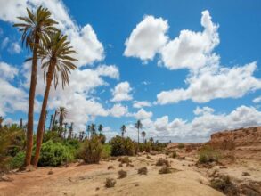 Guelmim-Oued Noun : &ldquo;Tous les investissements sont les bienvenus&rdquo; (Amine Ettayeb)