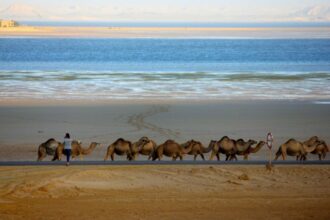 Zine El Abidine Charafeddine : &ldquo;Le capital culturel local de Dakhla est immensément riche et nous voulons le montrer et le partager avec tous&rdquo;(2/2)