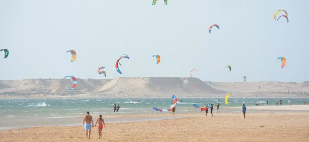 L’IMIS décortique la success story de l’économie bleue à Dakhla