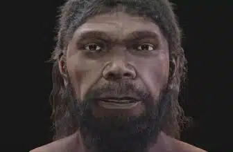 Découvert à Jebel Irhoud, l'homme le plus ancien jamais connu a enfin un visage