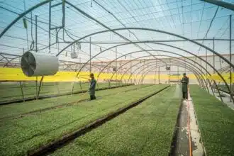 Le groupe Azura obtient la certification &ldquo;Alliance for Water Stewardship&rdquo; pour ses sites horticoles