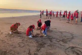 Colonies de vacances pour la saison 2025 : près de 160.000 bénéficiaires