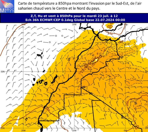 Vagues de chaleur. Quelles sont les causes et que doit-on faire pour atténuer leur impact ? Les réponses de la DGM