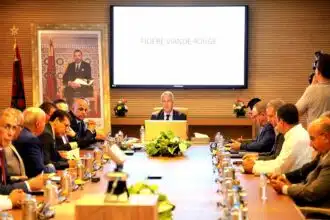 Nouvelles mesures pour sauvegarder les filières viandes rouges et lait