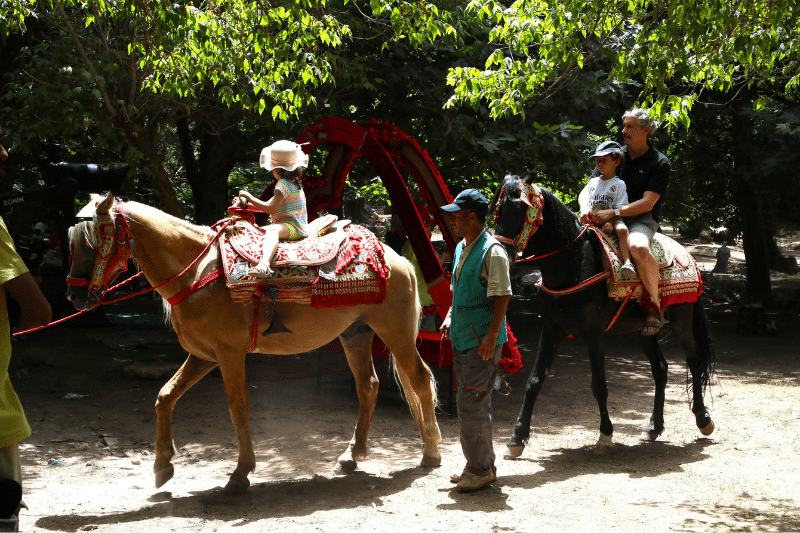 Parc Ain Vittel d'Ifrane : Une rénovation réussie entre nature, sport et culture