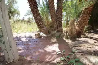 Un plan d'urgence pour réparer les dégâts causés par les dernières pluies sur les infrastructures agricoles