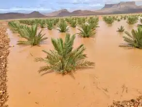 Analyse. Comprendre le passé des crues catastrophiques du Maroc