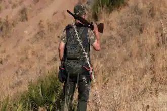 L’ANEF renforce la lutte contre le braconnage à la veille de la nouvelle saison de chasse