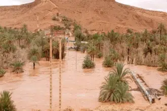 Orages et précipitations dans le Sud : vers un déplacement des phénomènes météorologiques ?