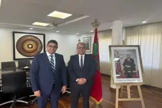 Bensaid explore avec TikTok les moyens de lutter contre la désinformation