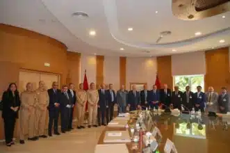 Défense. Le groupe indien Tata va produire les véhicules de combat WhAP 8x8 au Maroc