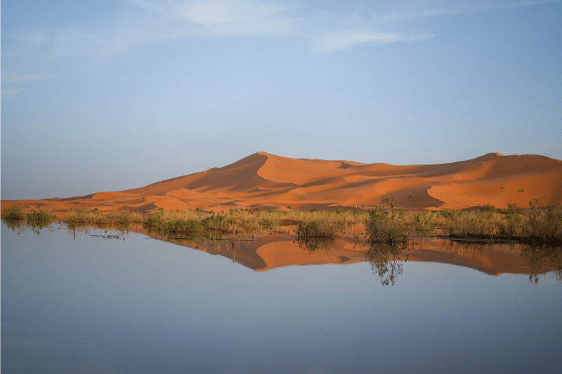 Images. Merzouga, une oasis inattendue après des pluies exceptionnelles